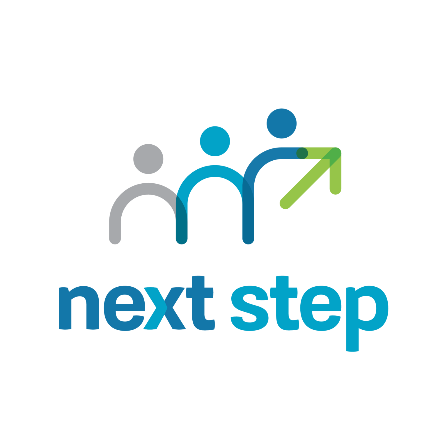 Information for social workers next step ni